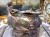 DSCN2588.JPG