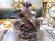DSCN2589.JPG