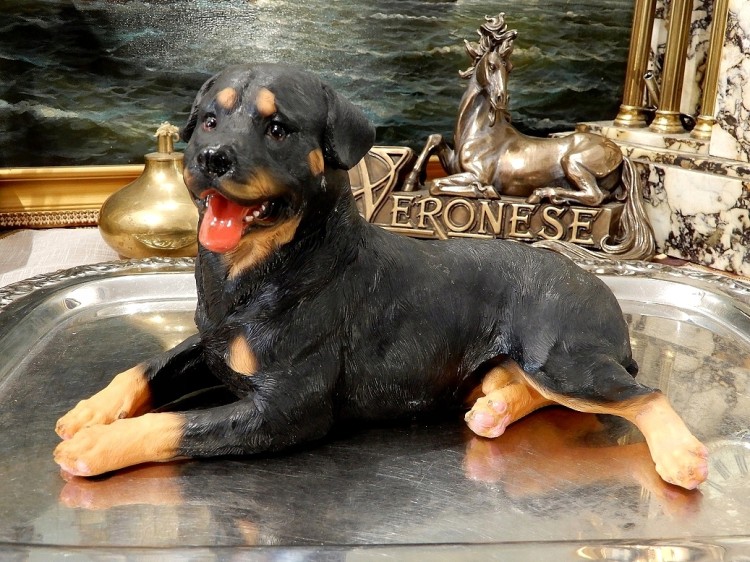 Rottweiler figurka porcelanowa na prezent