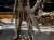 DSCN4689.JPG