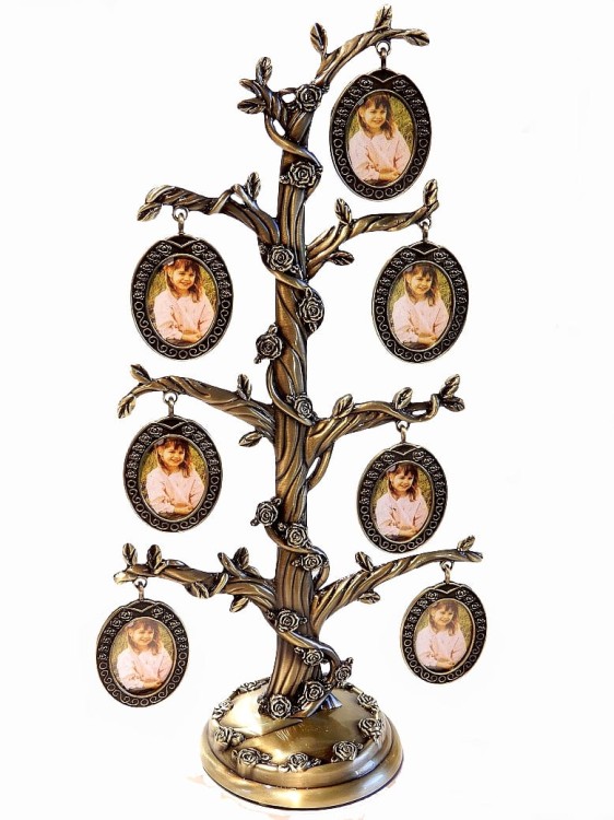 Złote drzewko ze zdjęciami oplecione różami