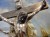 Jezus ukrzyżowany figurka veronese