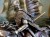 DSCN8268.JPG