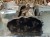 DSCN8479.JPG