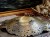 DSCN8670.JPG