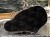 DSCN9812.JPG