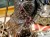DSCN6973.JPG