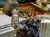 DSCN7489.JPG