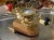 DSCN0075.JPG
