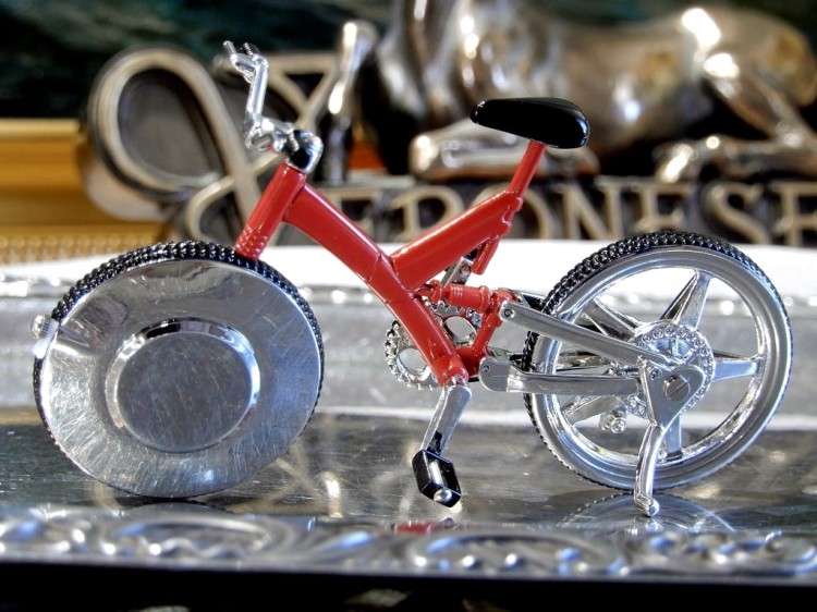 prezent dla rowerzysty model  roweru