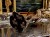 DSCN6849.JPG