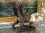 DSCN7089.JPG