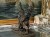 DSCN7090.JPG