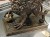 DSCN7095.JPG