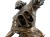 DSCN7403.JPG