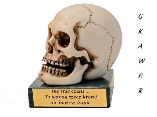 czaszka dla lekarza