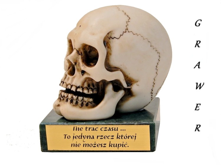 czaszka dla lekarza