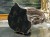 DSCN7793.JPG