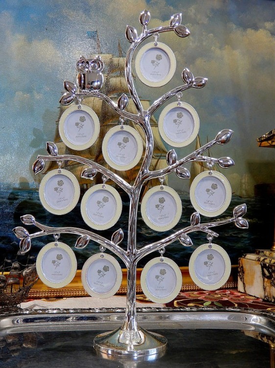 drzewko zdjęcia na urodziny