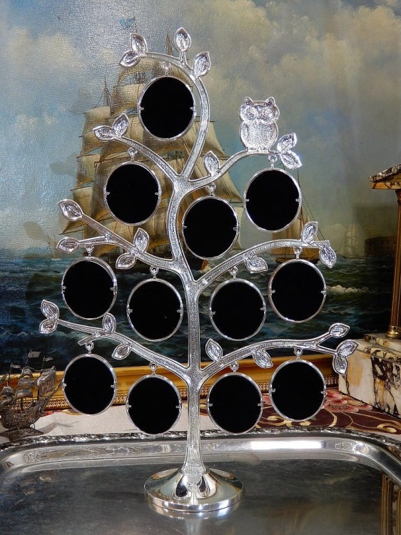 piękne drzewko na zdjęcia