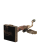 DSCN9083-PhotoRoom.png-PhotoRoom.png