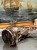 DSCN9109.JPG