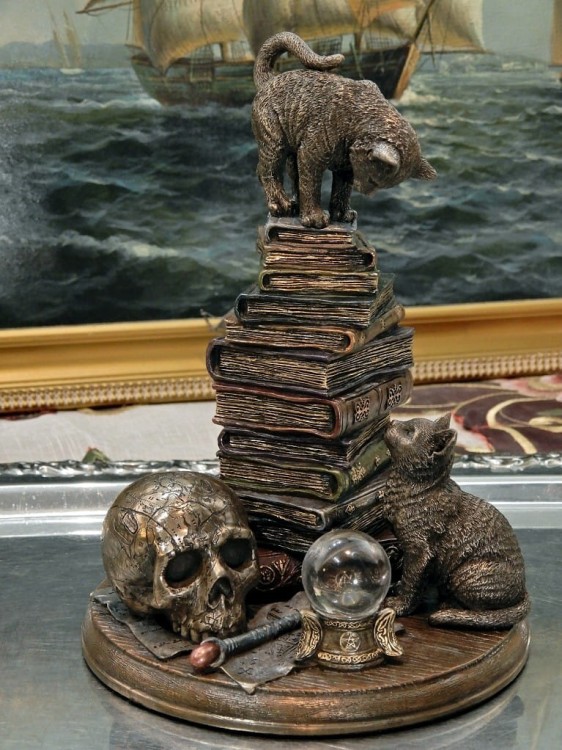 stolik magika a na nim kotki