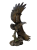 DSCN9549-PhotoRoom.png-PhotoRoom.png