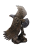 DSCN9551-PhotoRoom.png-PhotoRoom.png