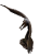 DSCN9552-PhotoRoom.png-PhotoRoom.png
