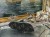 DSCN9466.JPG
