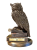 DSCN0671-PhotoRoom.png-PhotoRoom.png