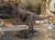Tyranozaur rzeźba na prezent