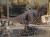 DSCN9731.JPG