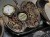 DSCN0650.JPG