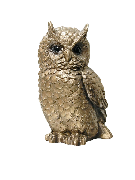 DSCN0032-PhotoRoom.png-PhotoRoom.png
