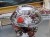 DSCN0532.JPG