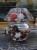 DSCN0534.jpg