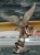 DSCN0623.JPG