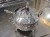 DSCN0742.JPG