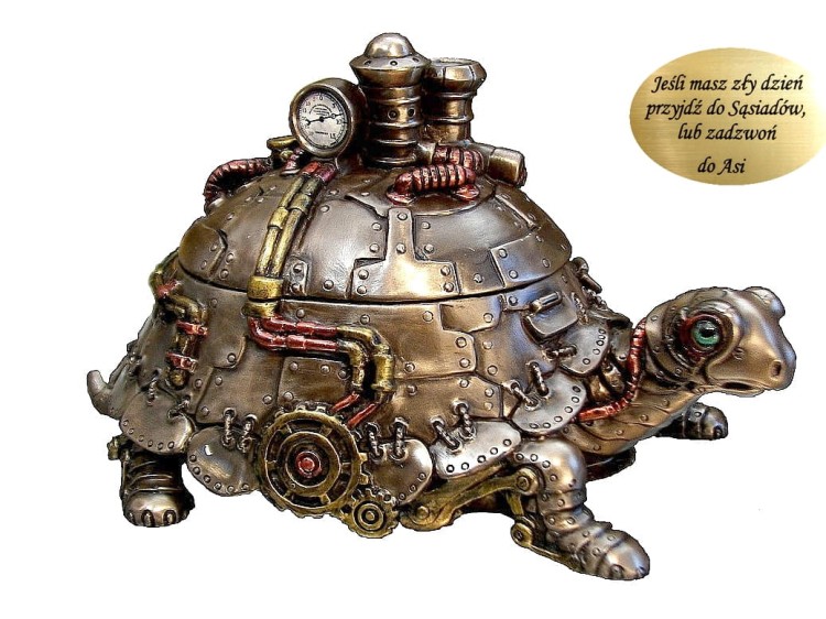 oryginalna szkatułka żółw steampunk