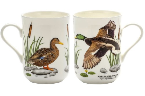 kubek porcelanowy kaczka krzyżówka
