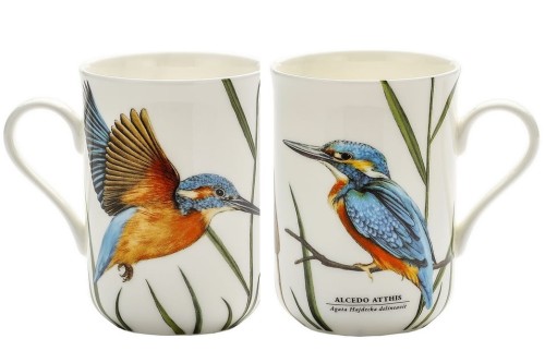 kubek porcelanowy z zimorodkiem