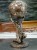 DSCN7306.JPG