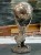 DSCN7308.JPG