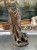DSCN7381.JPG