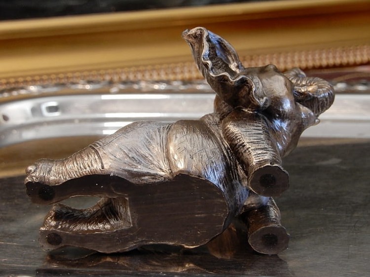 DSCN6788.JPG