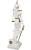 temida-prezent-dla-prawnika-mc-90205 (3).png
