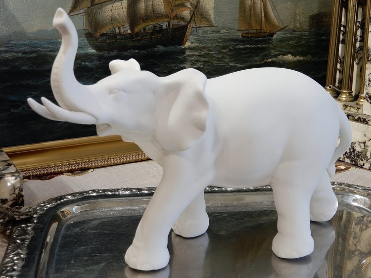 biały słoń na urodziny, prezent