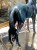 DSCN7715.JPG